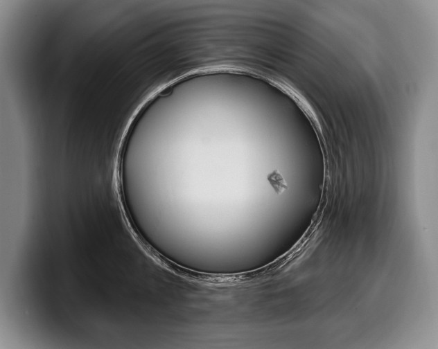 X0000100330813200806051202