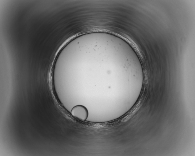 X0000100330814200806051202