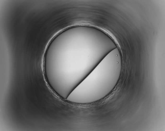 X0000100330815200806051202