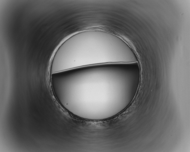 X0000100330816200806051202