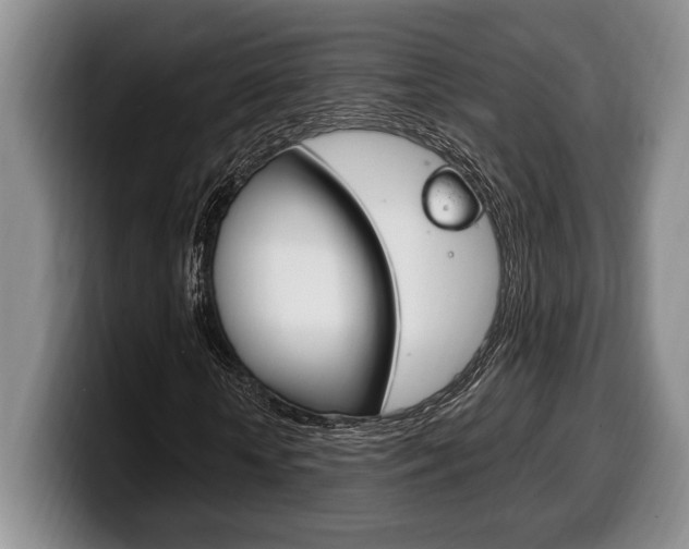 X0000100330818200806051201