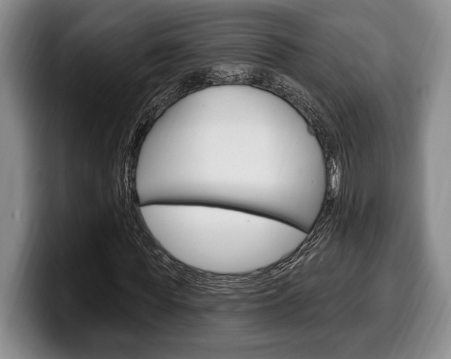 X0000100330819200806051201