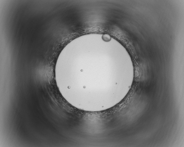 X0000100330820200806051202