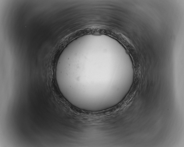 X0000100330821200806051202