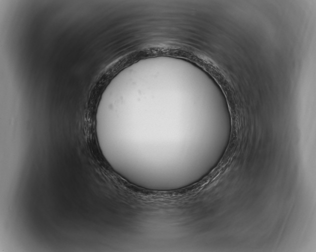 X0000100330822200806051202