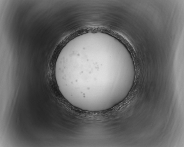 X0000100330823200806051202