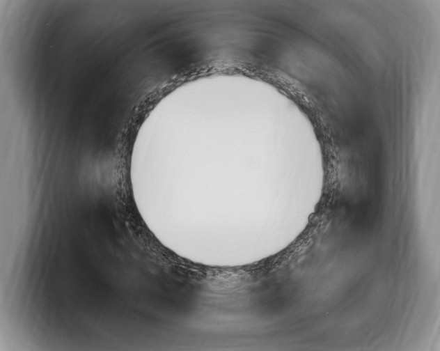 X0000100330824200806051202