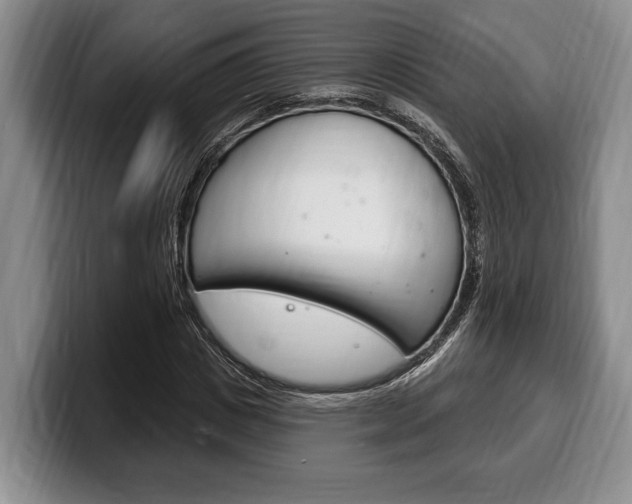 X0000100330825200806051202