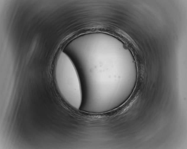 X0000100330826200806051202