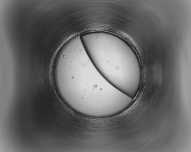 X0000100330827200806051202