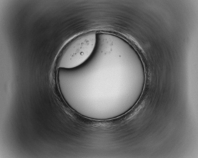X0000100330830200806051202