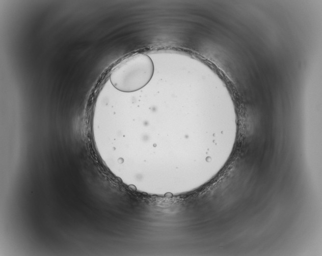 X0000100330832200806051202