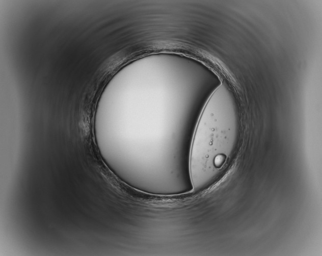X0000100330833200806051202