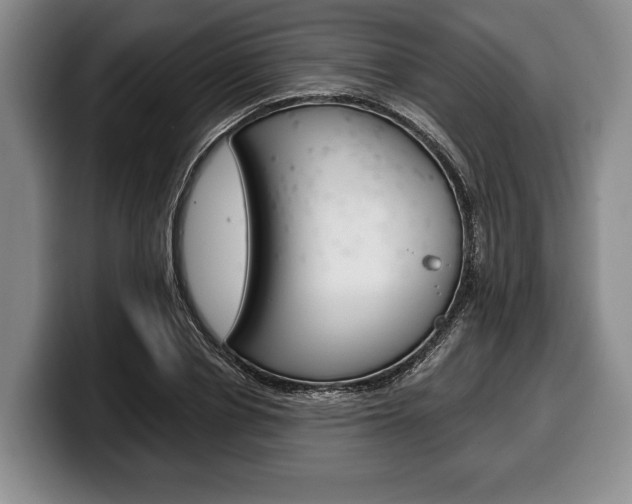 X0000100330834200806051202