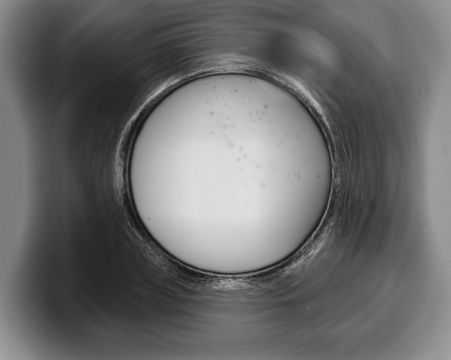 X0000100330835200806051202