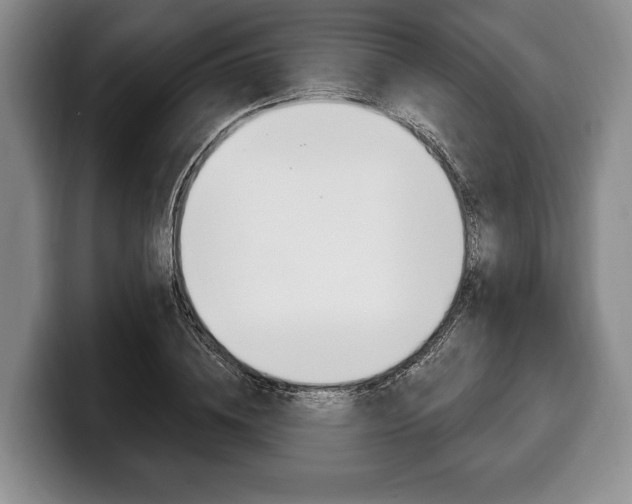 X0000100330836200806051202