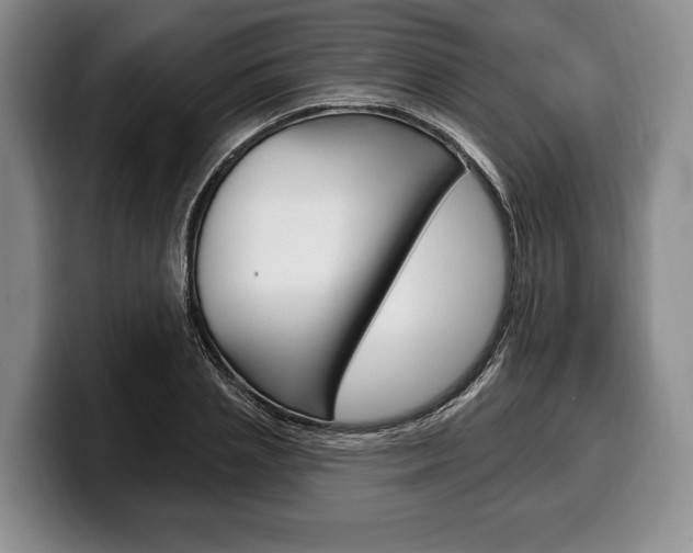 X0000100330837200806051202