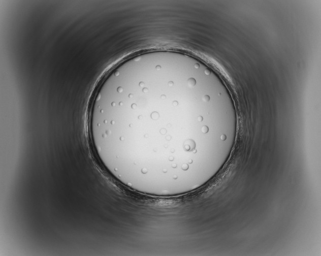 X0000100330839200806051202