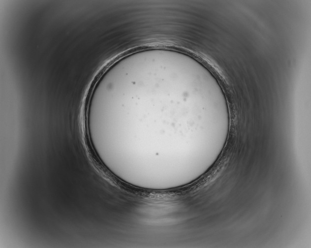 X0000100330840200806051202