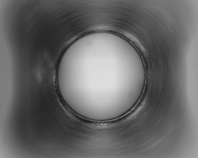 X0000100330841200806051202