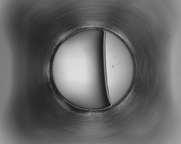 X0000100330842200806051202