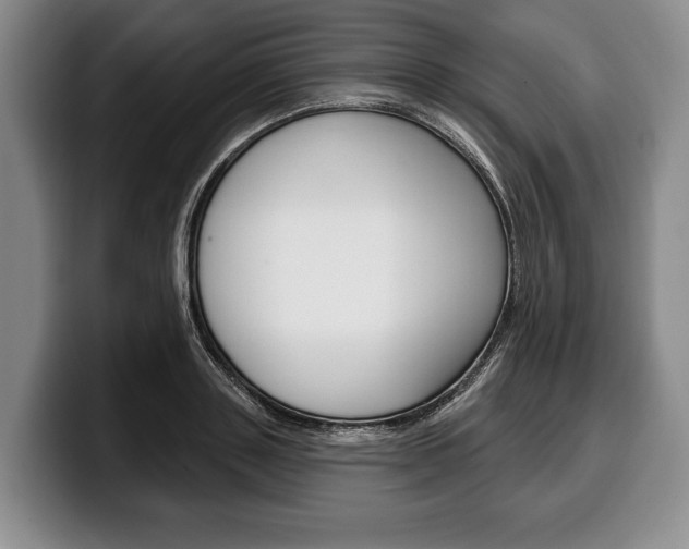 X0000100330843200806051202