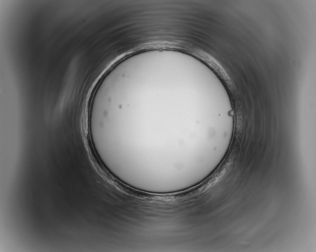 X0000100330844200806051202