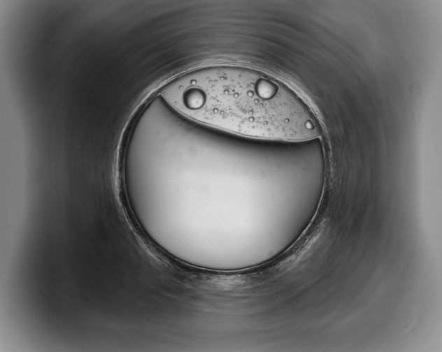 X0000100330845200806051202