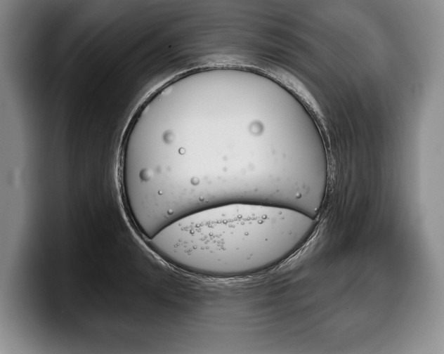 X0000100330847200806051202