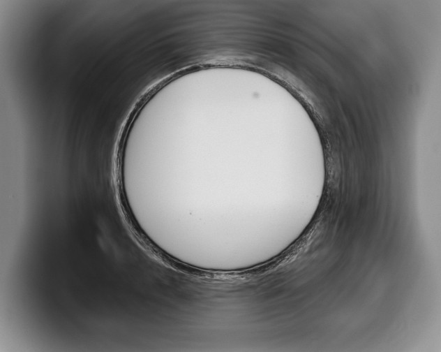 X0000100330848200806051202