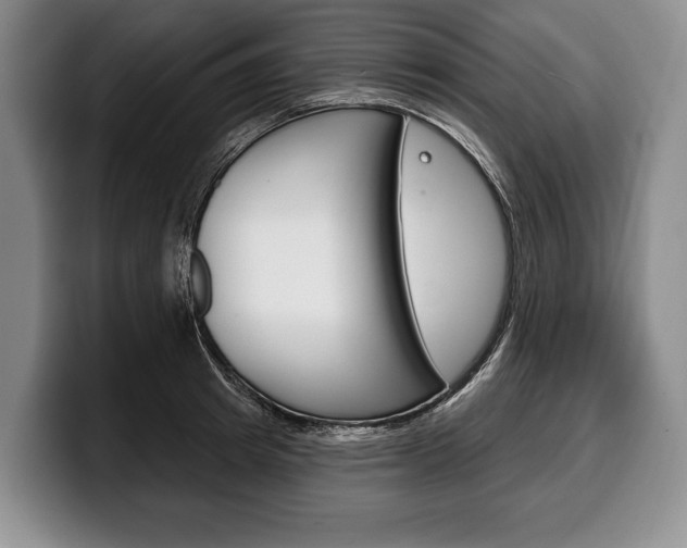 X0000100330849200806051202
