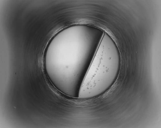 X0000100330850200806051202