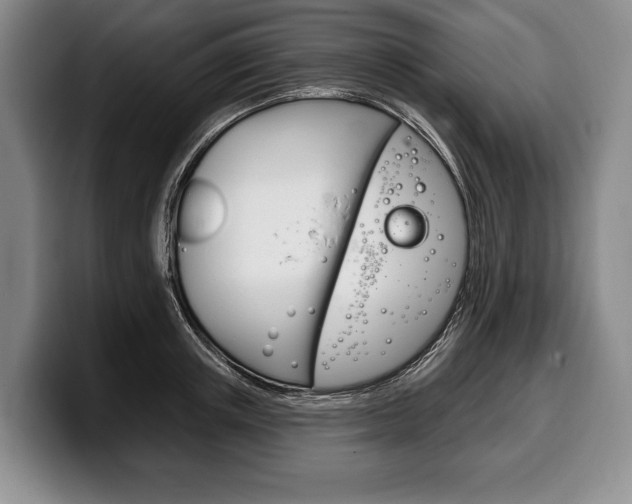 X0000100330851200806051202
