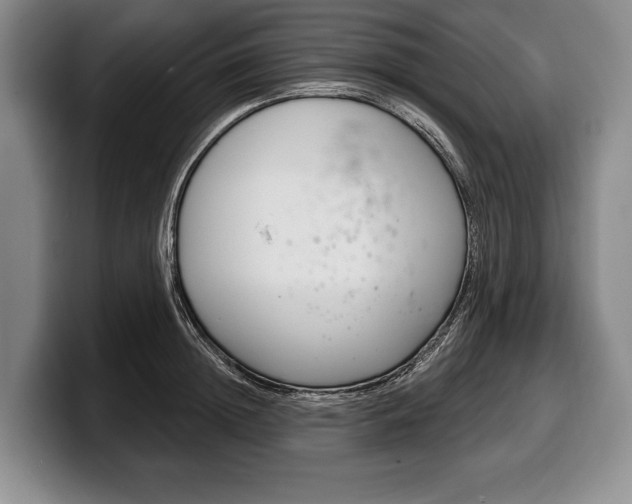 X0000100330852200806051202