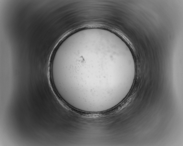 X0000100330853200806051202