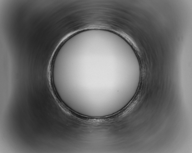 X0000100330854200806051202