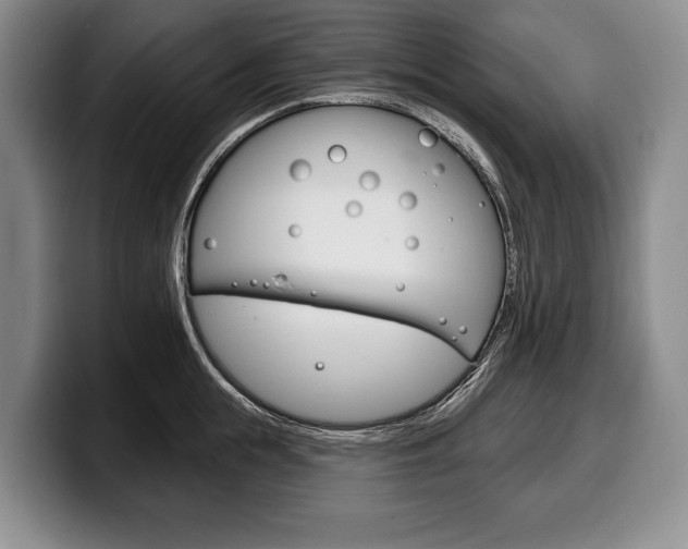 X0000100330855200806051202