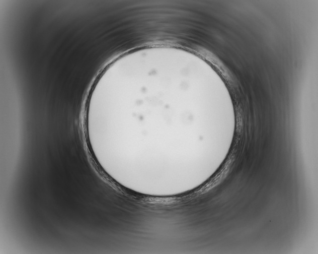 X0000100330856200806051202