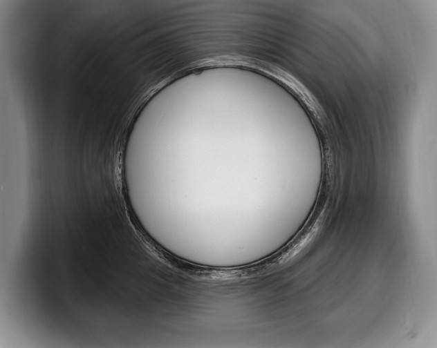 X0000100330857200806051202
