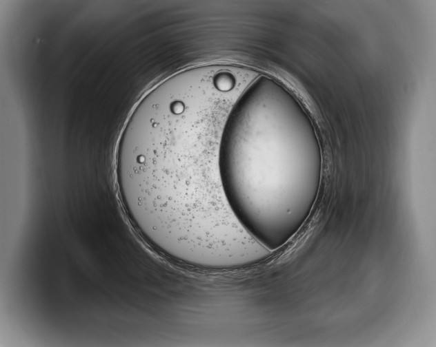 X0000100330858200806051202