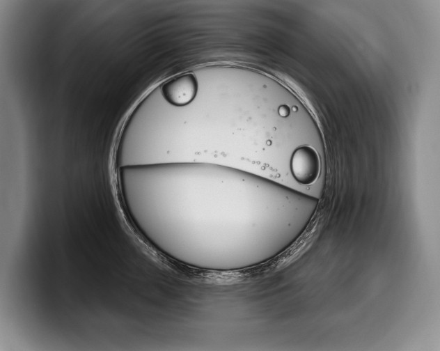 X0000100330859200806051202