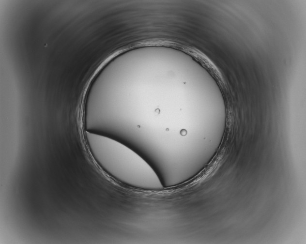 X0000100330860200806051202