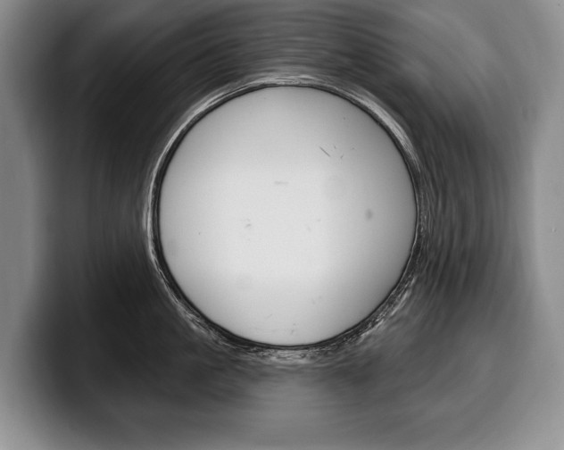 X0000100330861200806051202