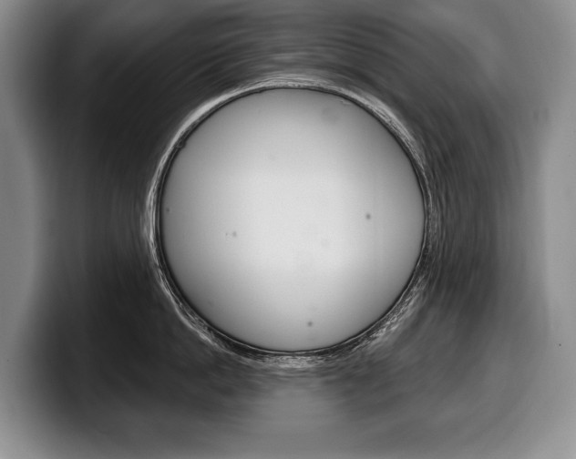X0000100330862200806051202