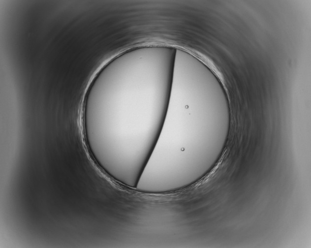 X0000100330863200806051202