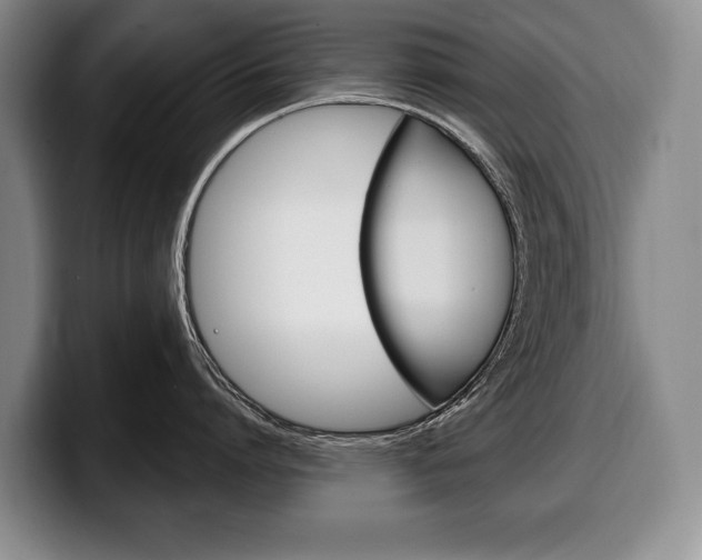 X0000100330864200806051202