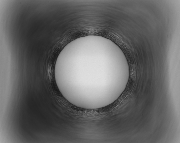 X0000100330866200806051201