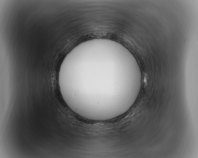 X0000100330867200806051201