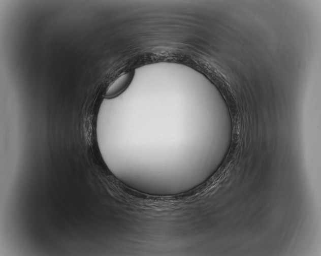 X0000100330868200806051201