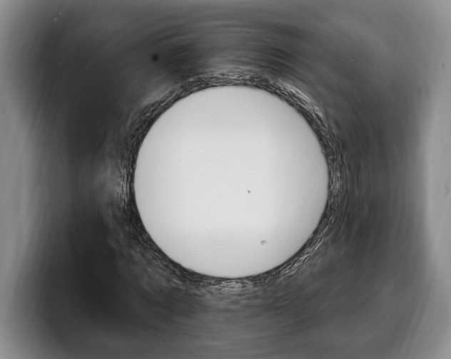 X0000100330869200806051201